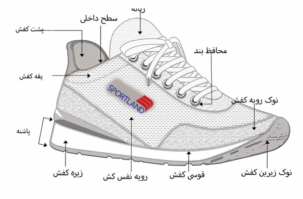 کفش باشگاه بدنسازی