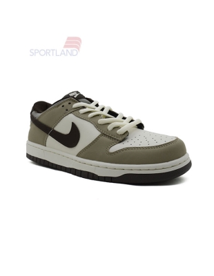 کفش روزانه مردانه جردن SB Dunk M