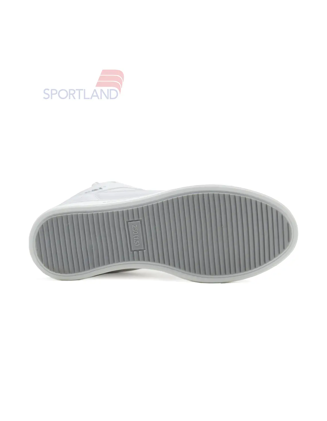 کفش روزانه مردانه کاترپیلار Proxy Lace M