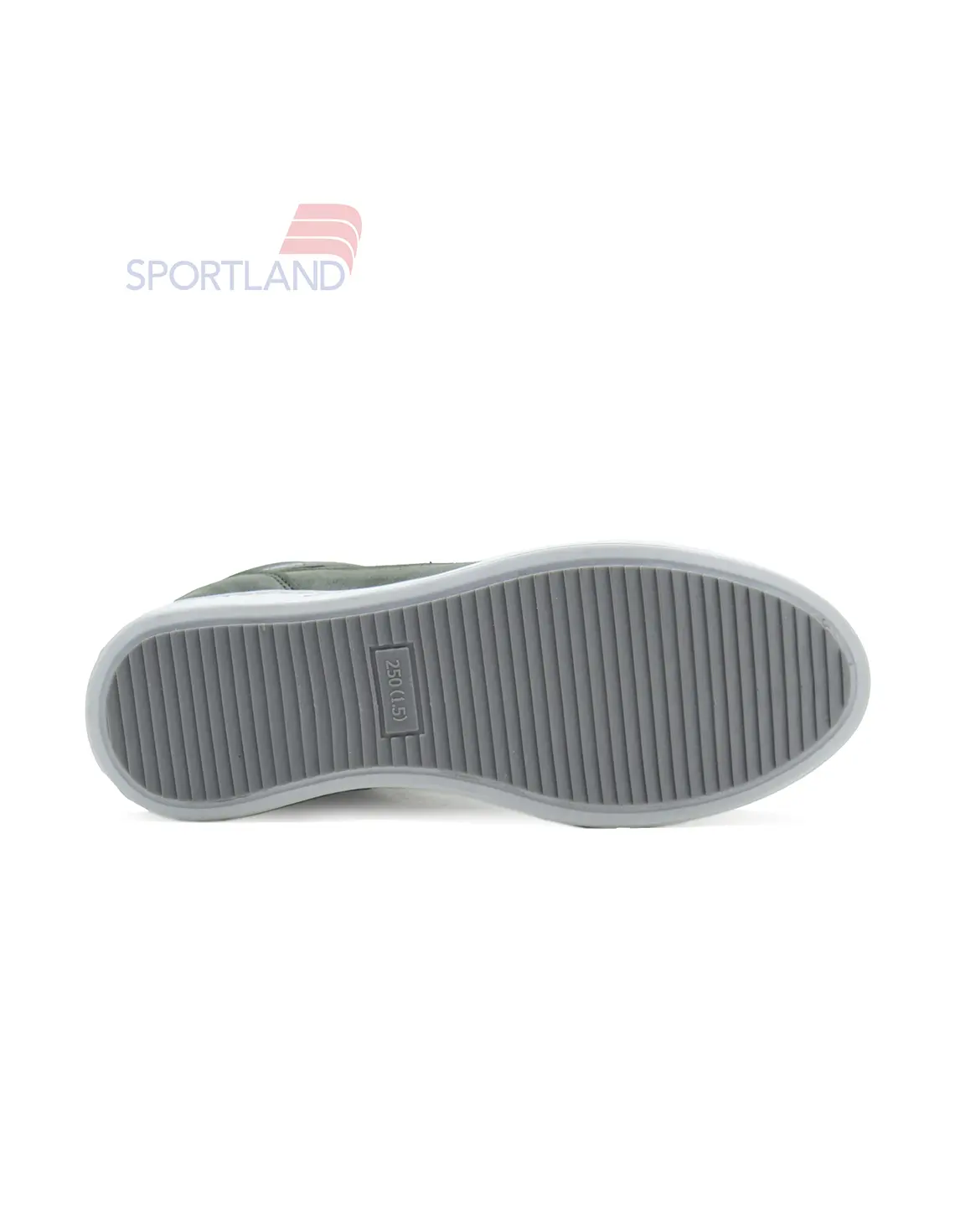 کفش روزانه مردانه کاترپیلار Proxy Lace M