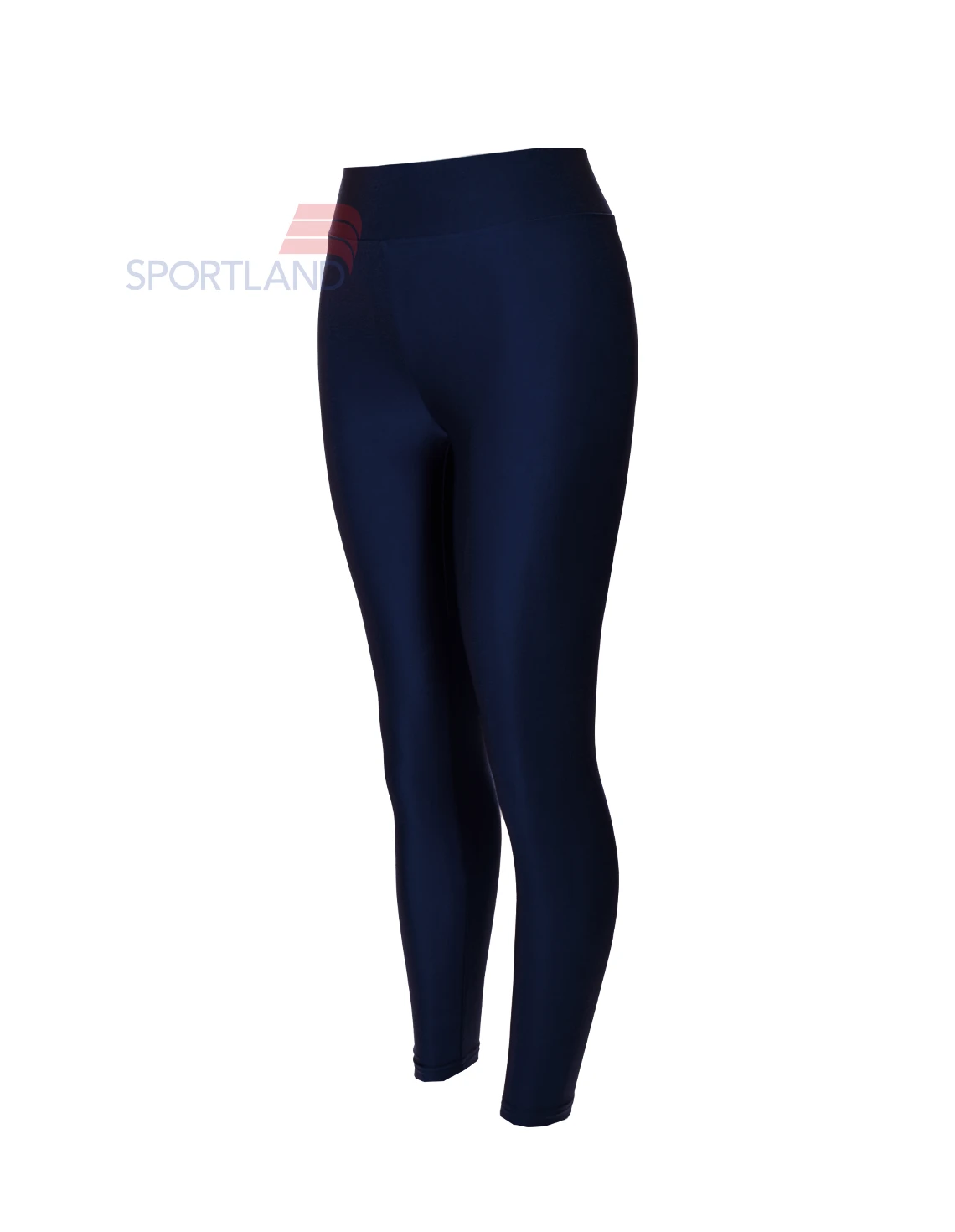 لگ ورزشی زنانه آگی Shiny Lycra 24035 W