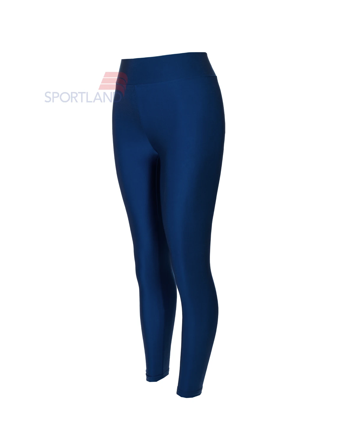 لگ ورزشی زنانه آگی Shiny Lycra 24035 W