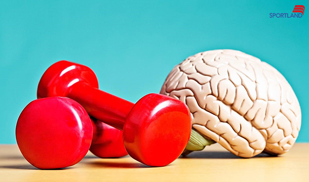 ورزش و بهبود عملکرد مغز