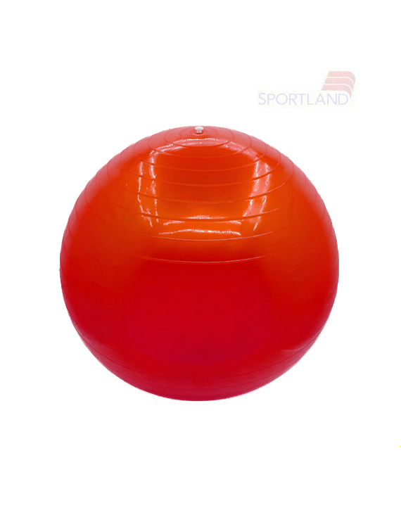 توپ پیلاتس Unisex Limpo 45