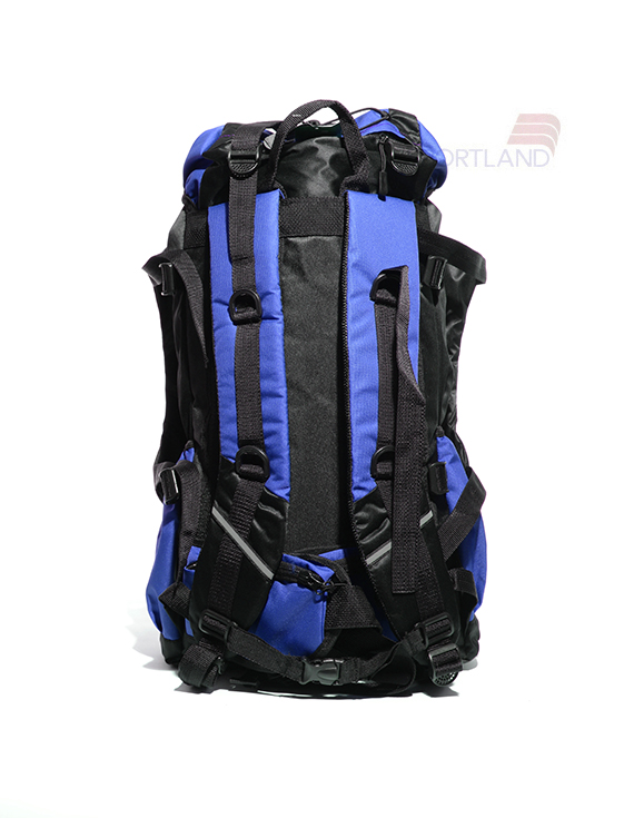 کوله پشتی کوهنوردی و طبیعت گردی Unisex نورث فیس Manaslu