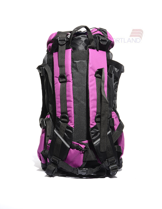 کوله پشتی کوهنوردی و طبیعت گردی Unisex نورث فیس Manaslu