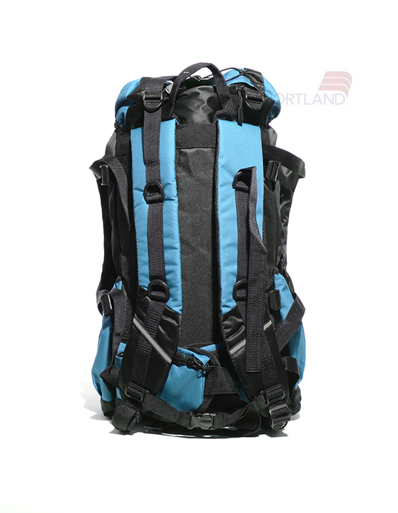 کوله پشتی کوهنوردی و طبیعت گردی Unisex نورث فیس Manaslu