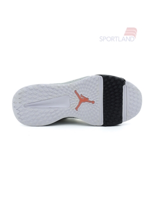 کفش ورزشی مردانه جردن Jordan Alpha 360 Tr M
