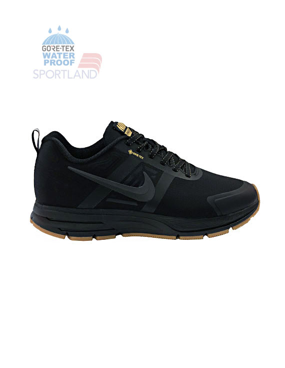 کفش دویدن مردانه نایکی Gore Tex Pegasus 30 M