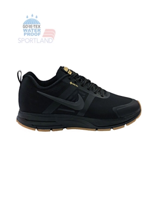 کفش دویدن مردانه نایکی Gore Tex Pegasus 30 M