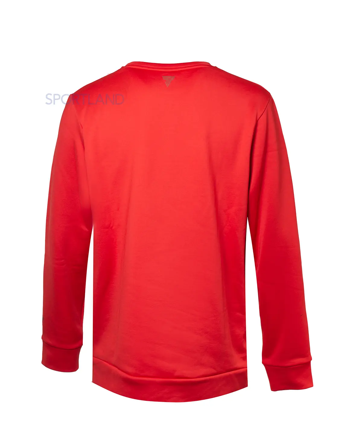 سویشرت ورزشی مردانه Trec Wear Sweatshirt Basic M