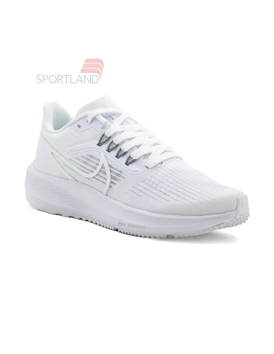 کفش دویدن زنانه نایکی Pegasus 39 FlyEase W