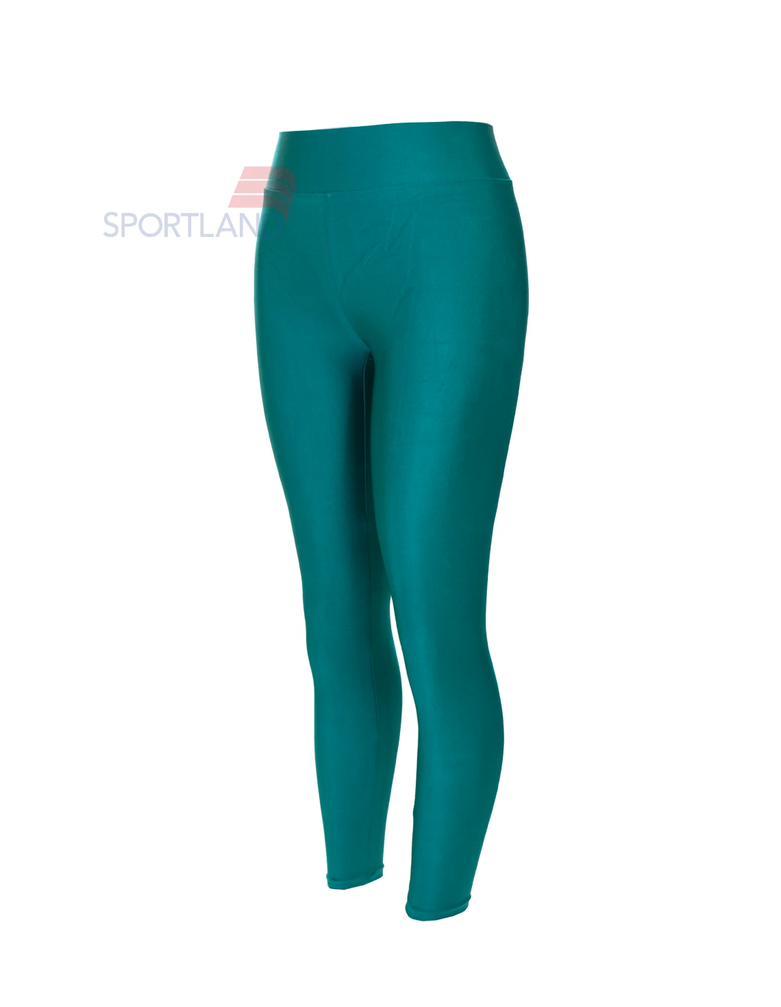 لگ ورزشی زنانه آگی Shiny Lycra 24035 W