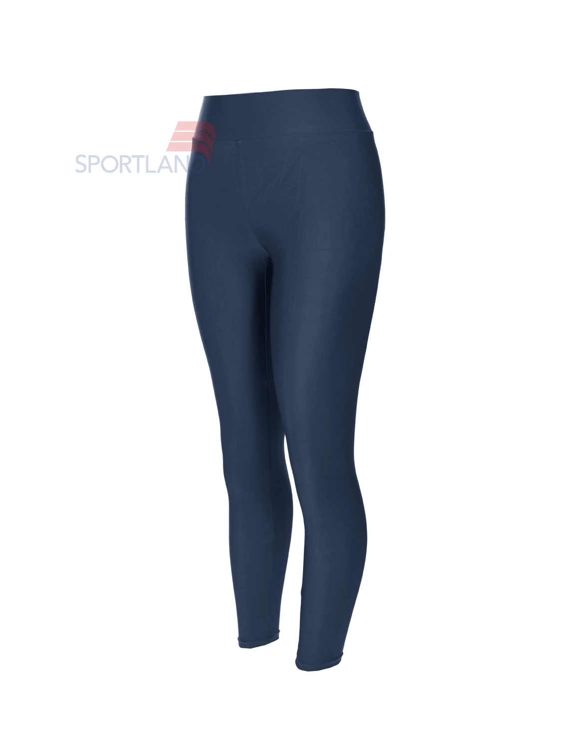 لگ ورزشی زنانه آگی Shiny Lycra 24035 W
