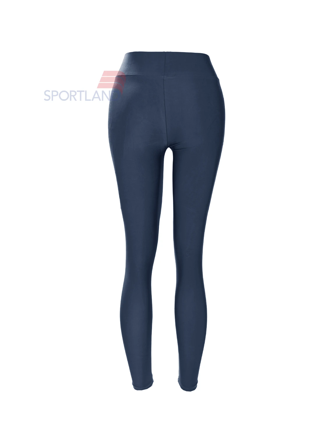 لگ ورزشی زنانه آگی Shiny Lycra 24035 W