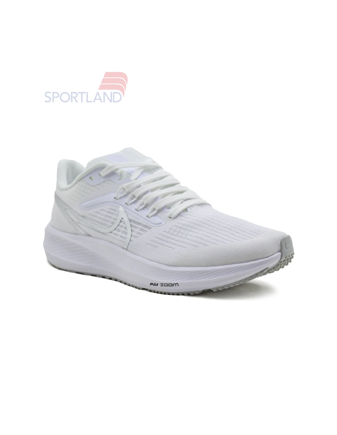 کفش دویدن مردانه نایکی Pegasus 39 FlyEase M