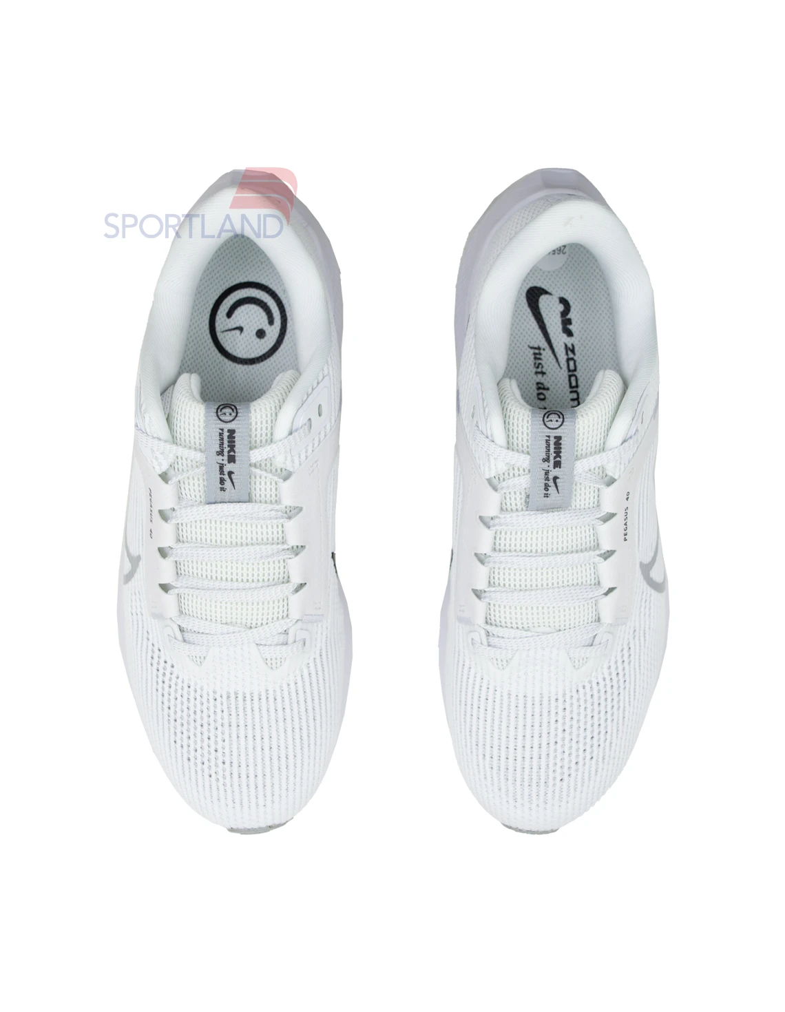 کفش دویدن مردانه نایکی Air Zoom Pegasus 40 M