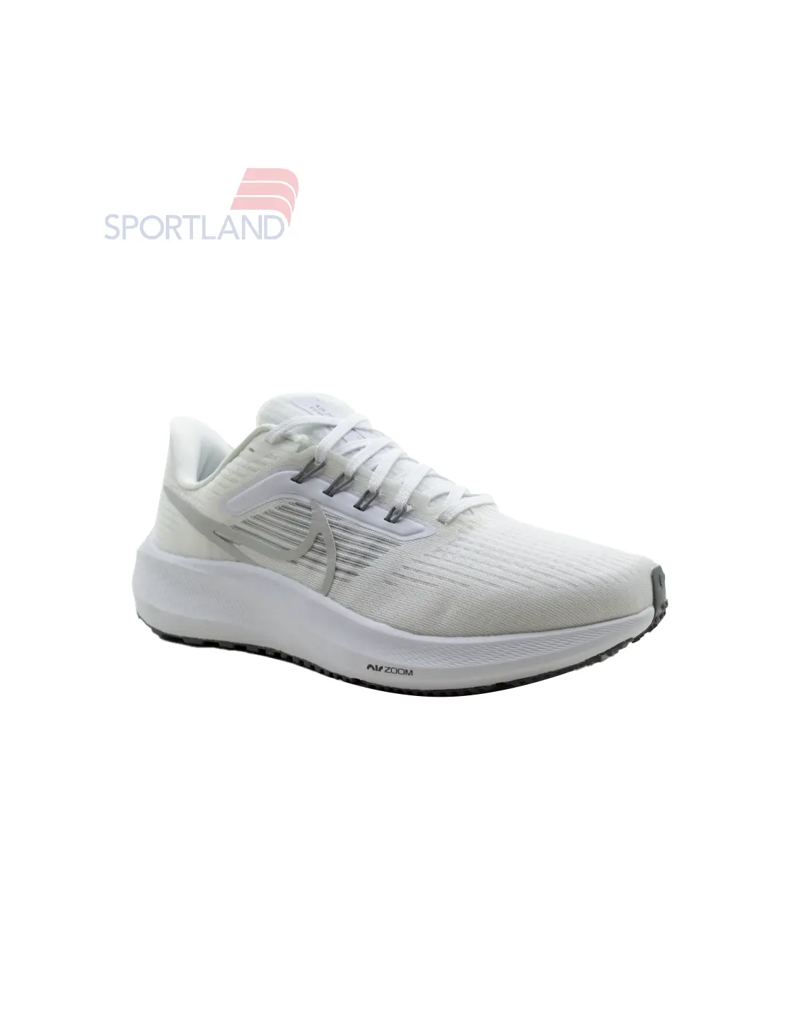 کفش دویدن مردانه نایکی Pegasus 39 Flyease Premium M