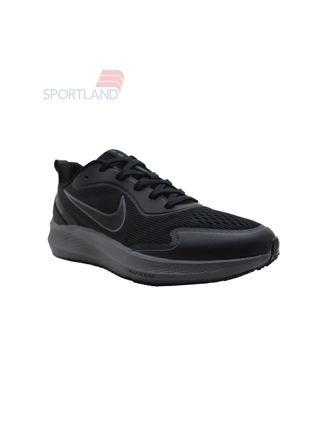 کفش دویدن مردانه نایکی Air Zoom Pegasus 39 M