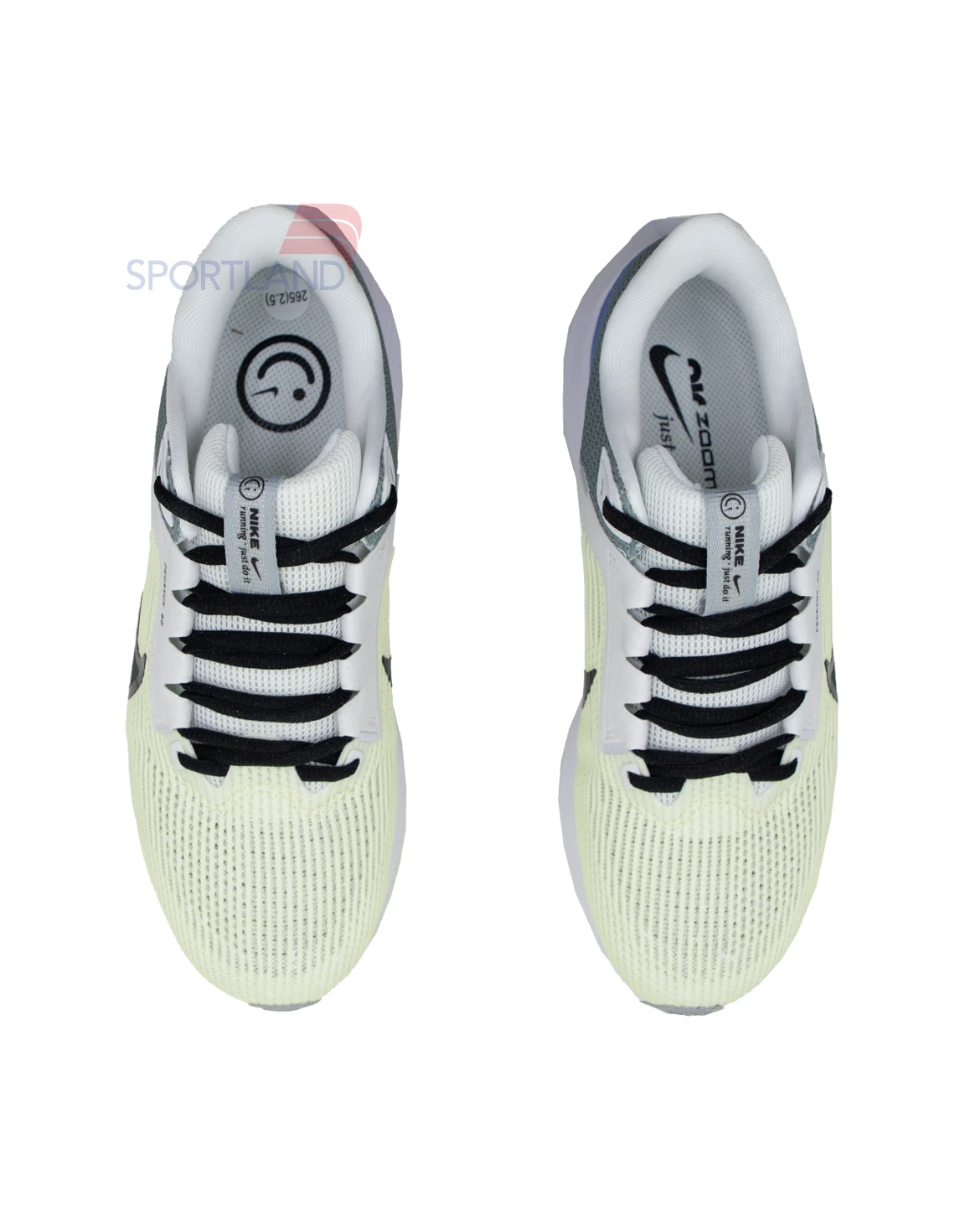 کفش دویدن مردانه نایکی Air Zoom Pegasus 40 M