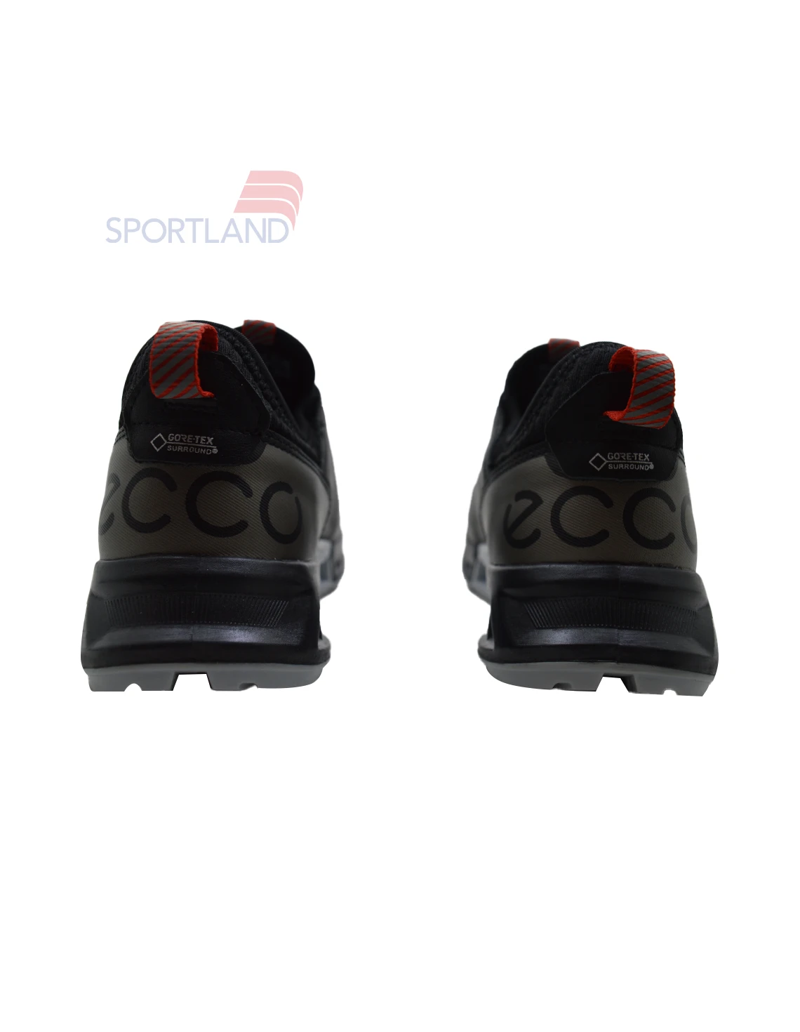 کفش دویدن مردانه ecco Biom C4 BOA M