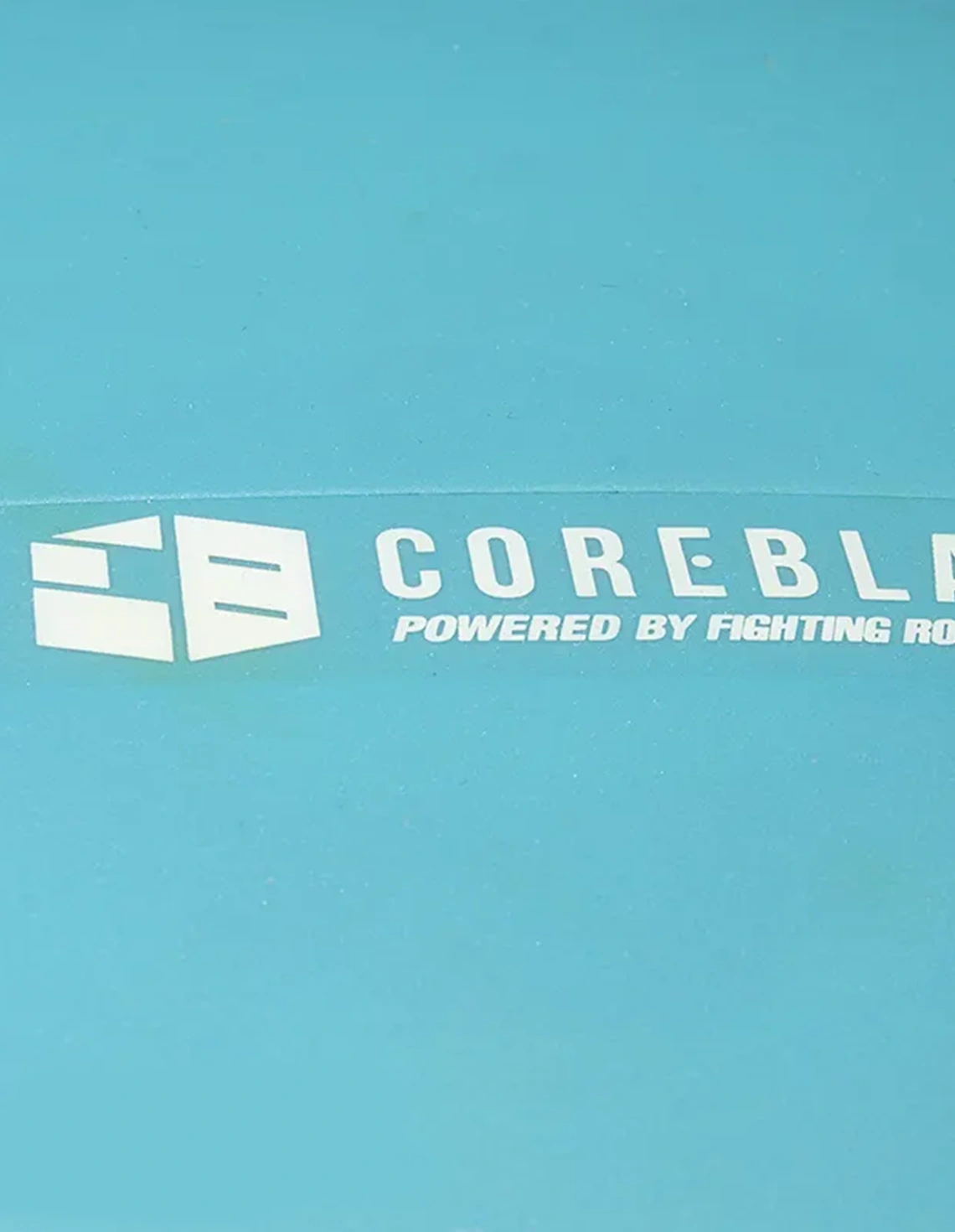 توپ بدنسازی Unisex برند عمومی کوشن بال COREBLADE