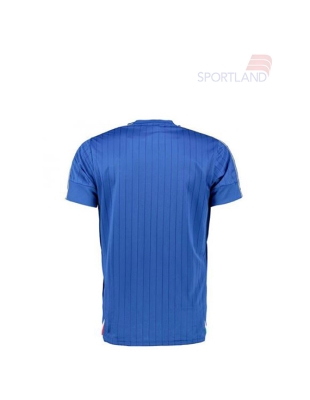 تی شرت فوتبال مردانه پوما FIGC ITAlIA HOmE sHIRT REPlICA